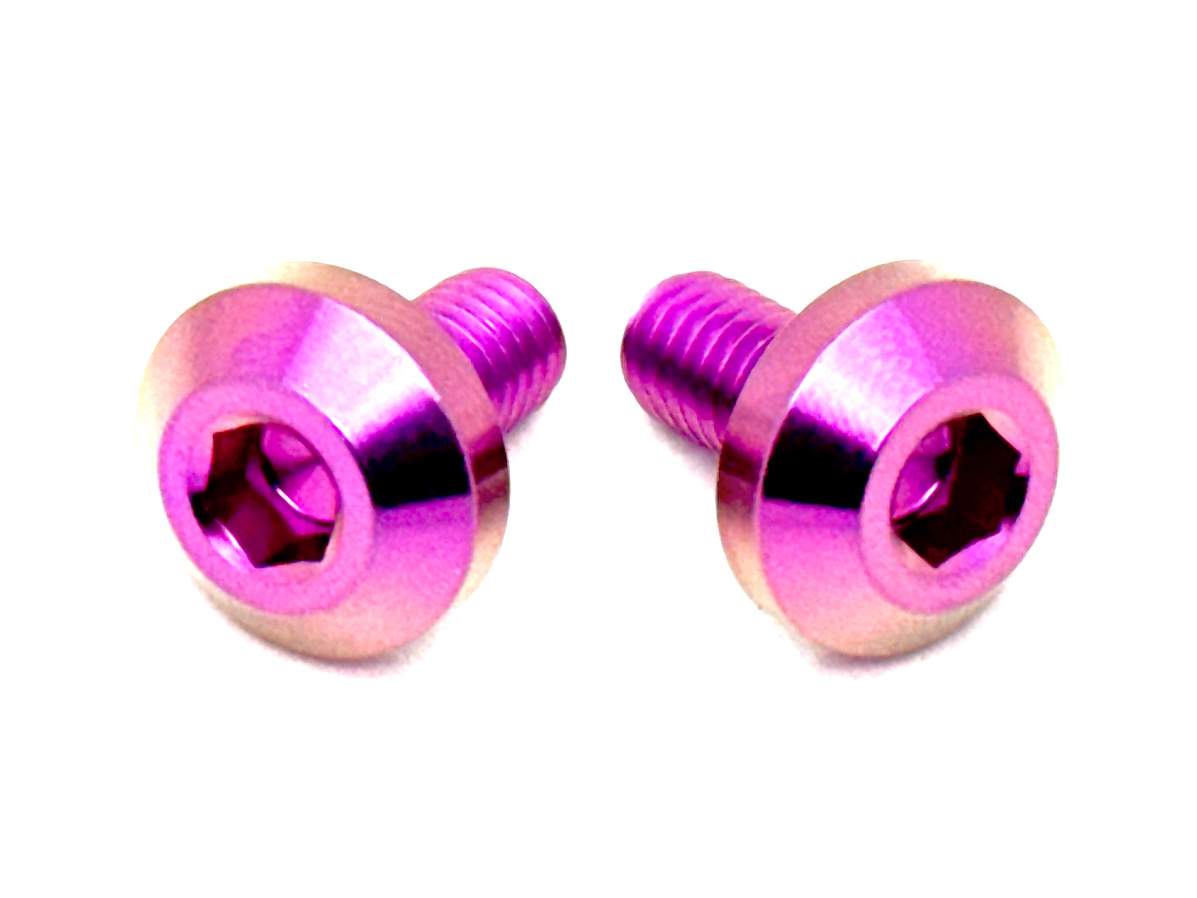 Titanium Chain Guard Bolts (Set of Two) Surron, Segway, Rerode